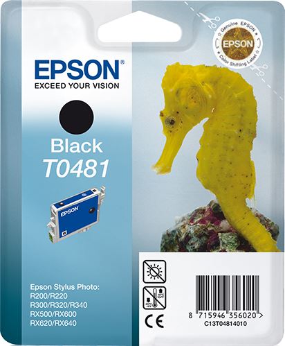 Epson C13T04814010/T0481 Ink cartridge black, 450 pages ISO/IEC 24711 13ml for Epson Stylus Photo R 300